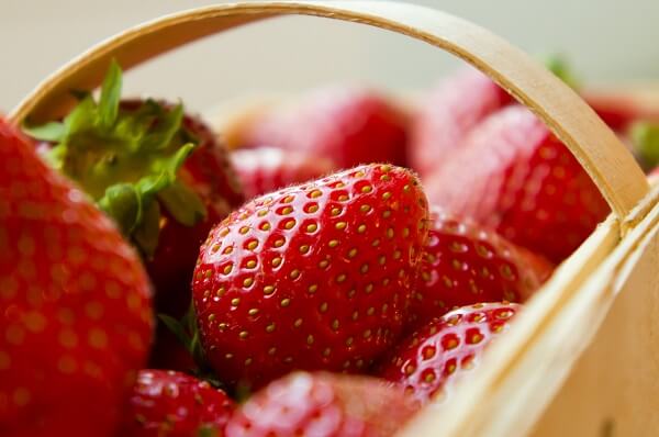 fraises