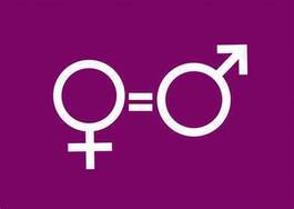 Index égalité Femmes / Hommes